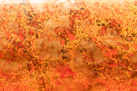 Orange marbled paper