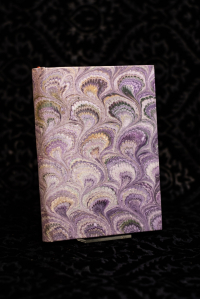 Viola Pavonato Diary